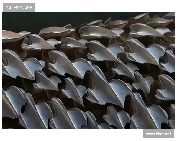 鲨鱼皮泳衣:科技与运动性能的完美融合助力游泳突破极限 鲨鱼皮泳衣:科技与运动性能的完美融合助力游泳突破极限